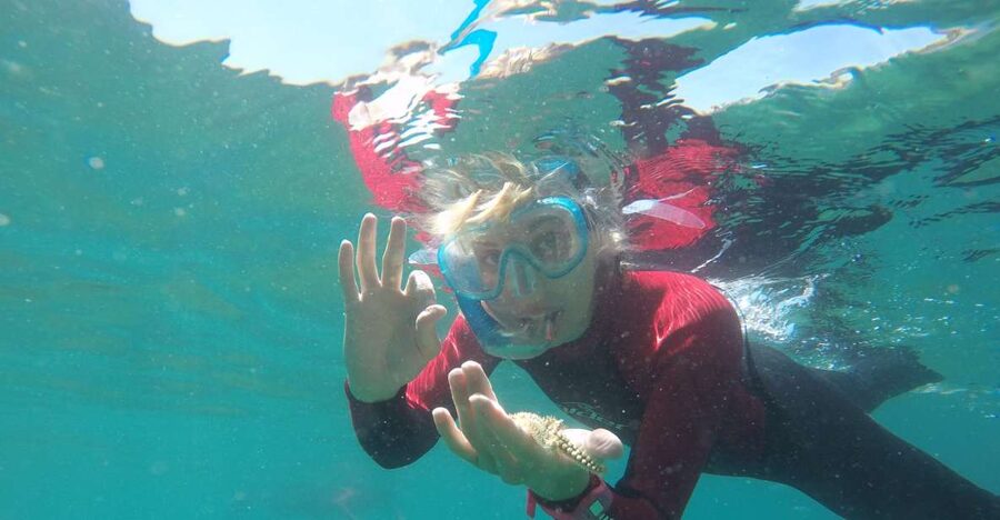 Lisbon: Snorkelling in Sesimbra/Arrábida Natural Park - The three-hour outing, from the meeting point to the boat