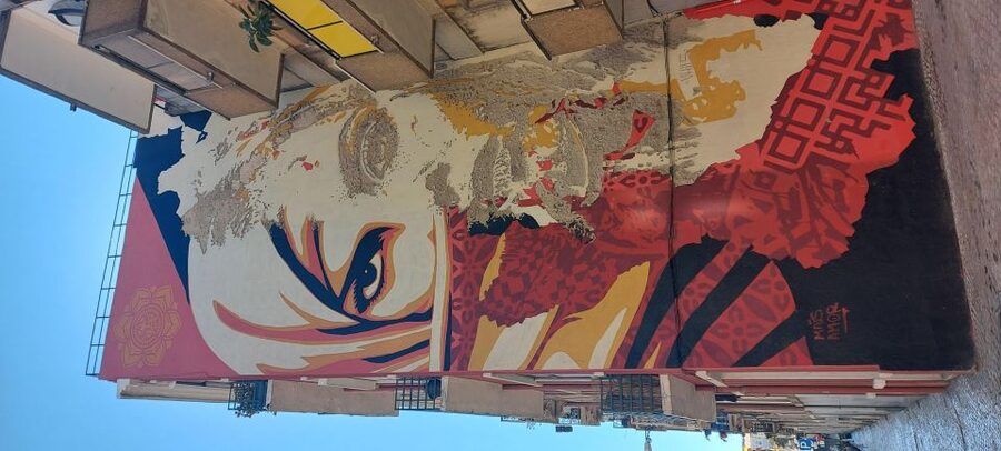Lisbon Street Art Lovers Walk - Starting in Mouraria, where the route feels local