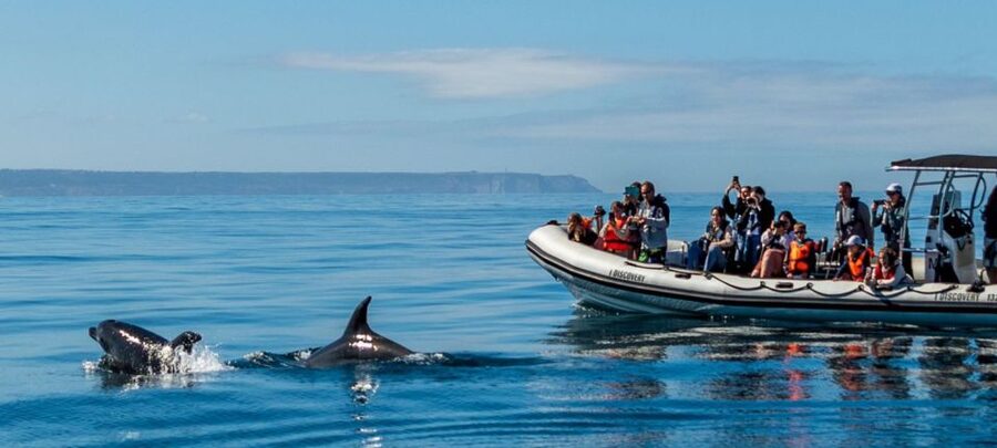Lisbon: Sunset SpeedBoat Tour - How much value do you get for $47?
