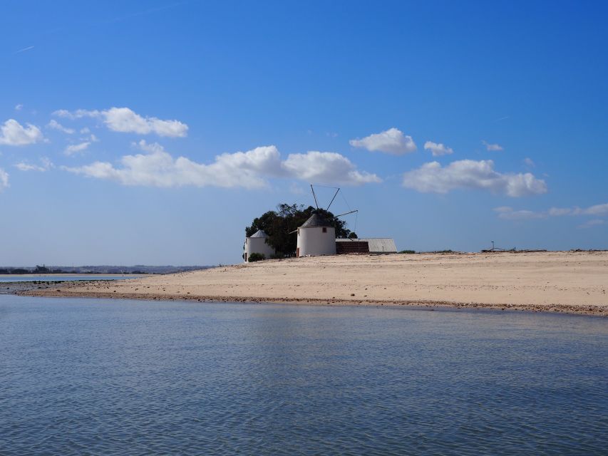 Lisbon: Tagus Estuary Nature Reserve Birdwatching Boat Tour - Why the Tagus Estuary belongs on your Lisbon plans