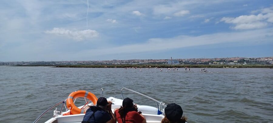 Lisbon: Tagus Estuary Nature Reserve Birdwatching Boat Tour - The first 30 minutes: city views and river orientation