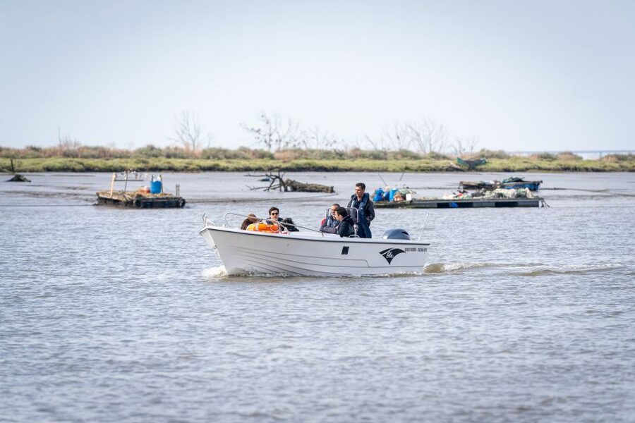 Lisbon: Tagus Estuary Nature Reserve Birdwatching Boat Tour - Bairro dos Pescadores and the working river