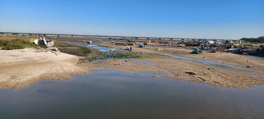 Lisbon: Tagus Estuary Nature Reserve Birdwatching Boat Tour - Two and a half hours inside the protected estuary