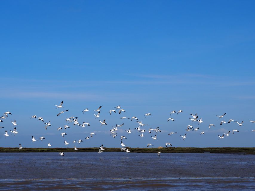 Lisbon: Tagus Estuary Nature Reserve Birdwatching Boat Tour - Mouchao da Povoa and the final river views
