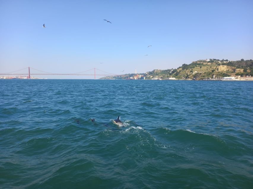 Lisbon: Tagus River Cruise to the Ocean & Dolphin Watching - Tejo Power Station and Cais do Sodré