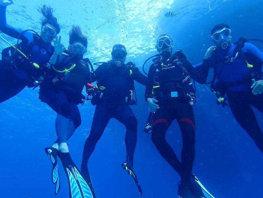 Lisbon: Try Dive in Arrábida Marine Reserve Setubal Sesimbra - The speedboat ride to the marine park