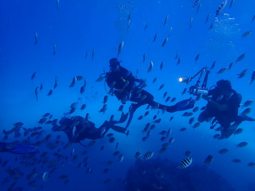 Lisbon: Try Dive in Arrábida Marine Reserve Setubal Sesimbra - Instruction in four languages