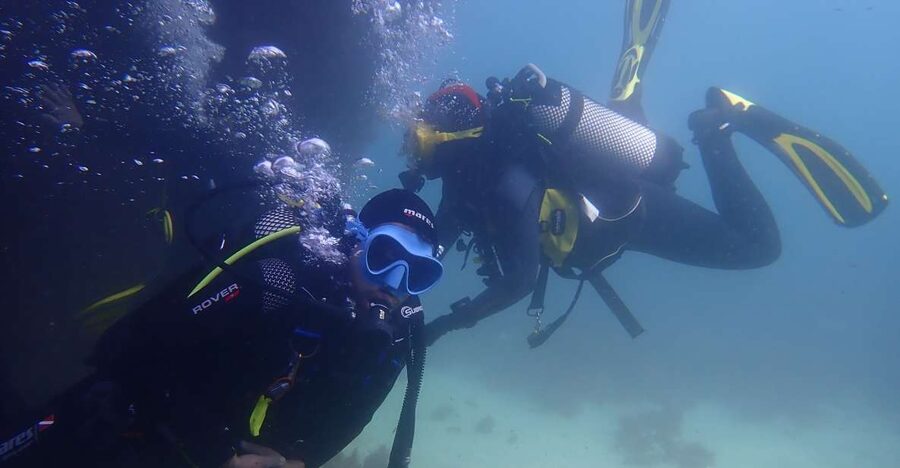 Lisbon: Try Dive in Arrábida Marine Reserve Setubal Sesimbra - Who should book this experience?
