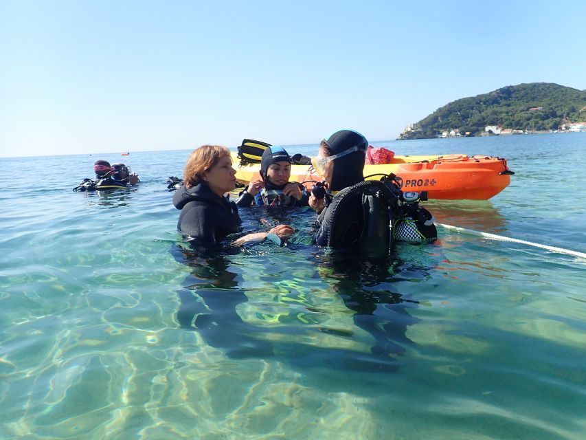 Lisbon: Try Dive in Arrábida Marine Reserve Setubal Sesimbra - The first 30 minutes: gear, forms, and breathing