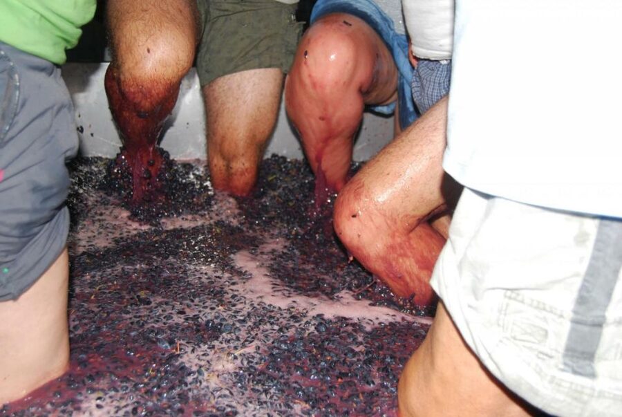 Loulé: Quinta da Tôr Winery Guided Tour and Wine Tasting - Four wines and several tasting styles