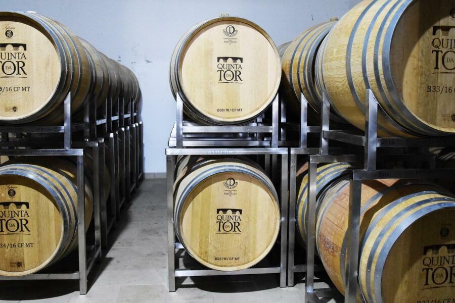 Loulé: Quinta da Tôr Winery Guided Tour and Wine Tasting - Bread, olive oil, and optional tapas
