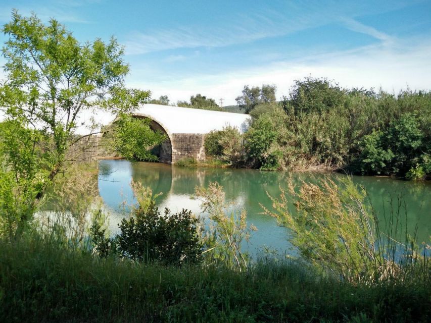 Loulé: Quinta da Tôr Winery Guided Tour and Wine Tasting - The pool and Algarve views