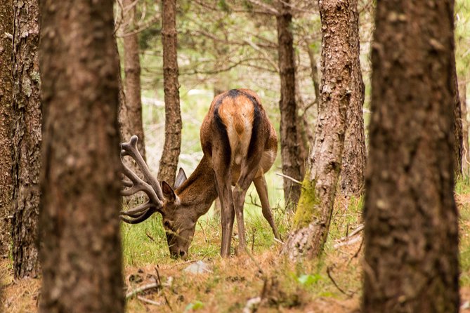Lousa Mountain Private Tour - Walking between Cadaval Cimeiro and Cadaval Fundeiro