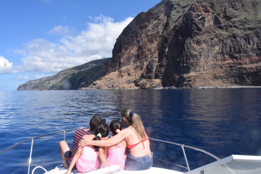 Madeira: 2.5-Hour Whale and Dolphin-Watching Cruise - Timing, weather, and practical limits