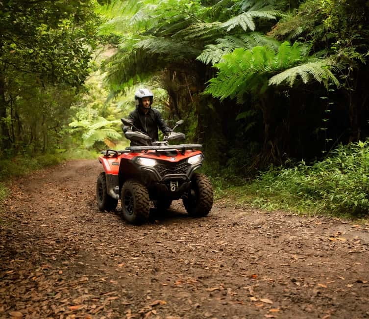 Madeira: Aventura Off-Road de ATV ou Quad - Adrenalina - Five Things to Know Before You Book