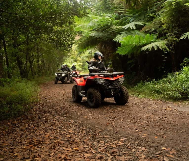 Madeira: Aventura Off-Road de ATV ou Quad - Adrenalina - Riding Toward Casa das Funduras