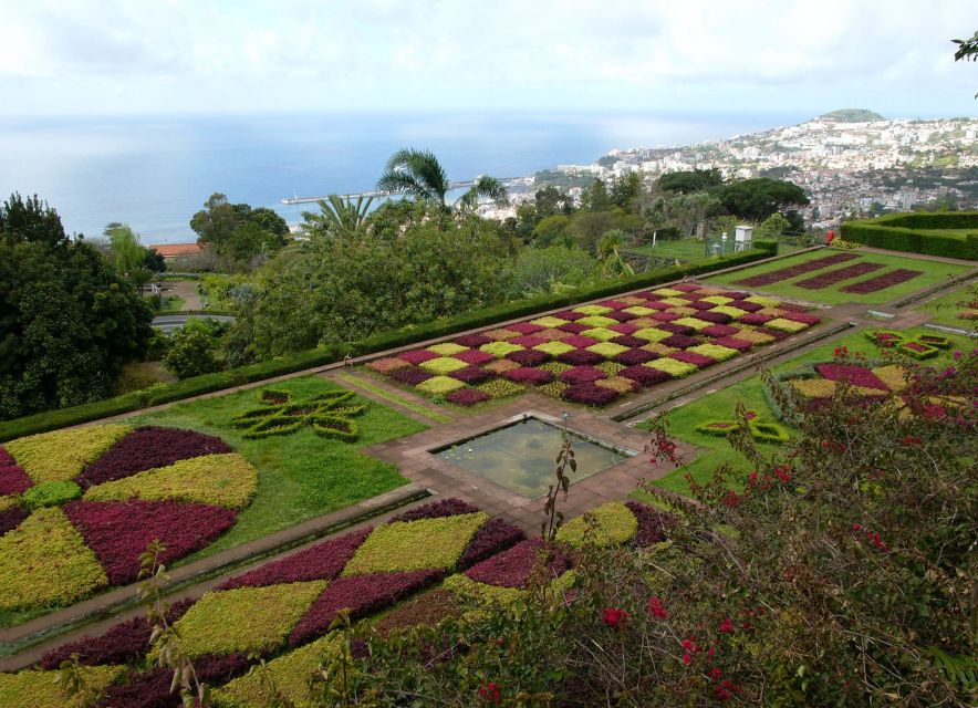 Madeira: Botanical Garden in a Tuk-Tuk Tour - One Hour Inside the Garden