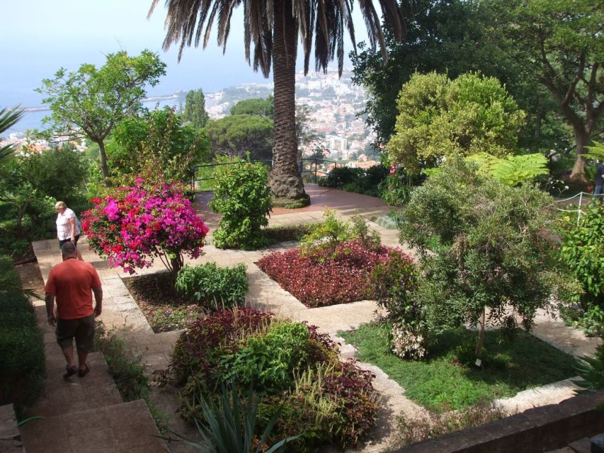 Madeira: Botanical Garden in a Tuk-Tuk Tour - The 20-Minute Ride Up From Funchal