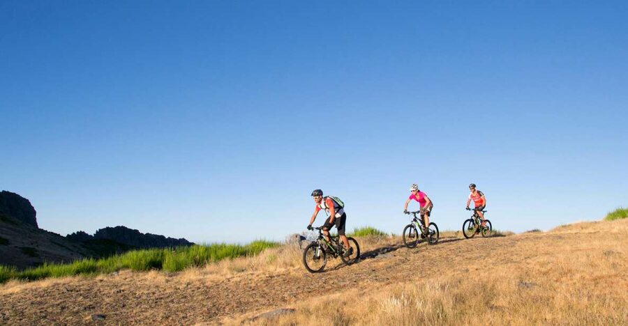 Madeira Botanical Levels Bike Tour – Scenic Trail Experience - Full-suspension Sentinels make rough ground kinder