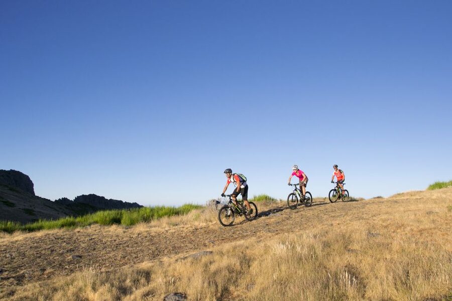 Madeira Botanical Levels Bike Tour – Scenic Trail Experience - Pick between forest tracks and technical single-track