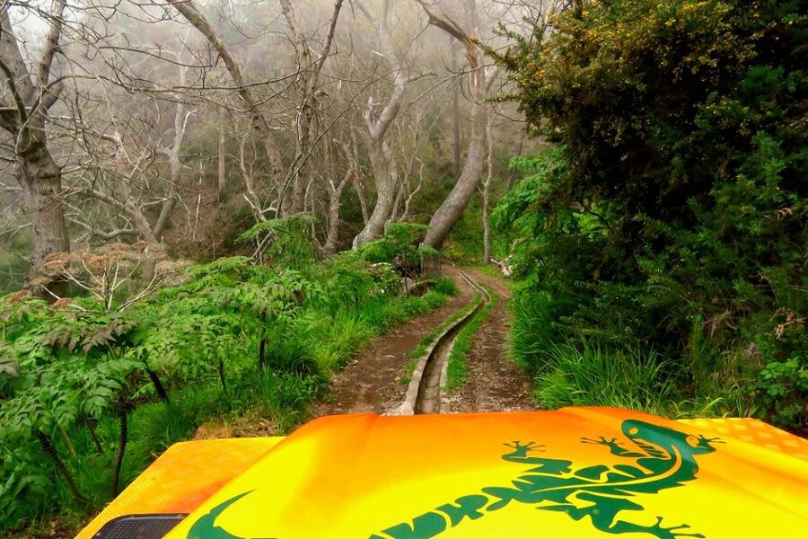 Madeira : Cabo Girao and Camara de Lobo 4WD half-day Tour - Guides, Languages, and the Human Factor