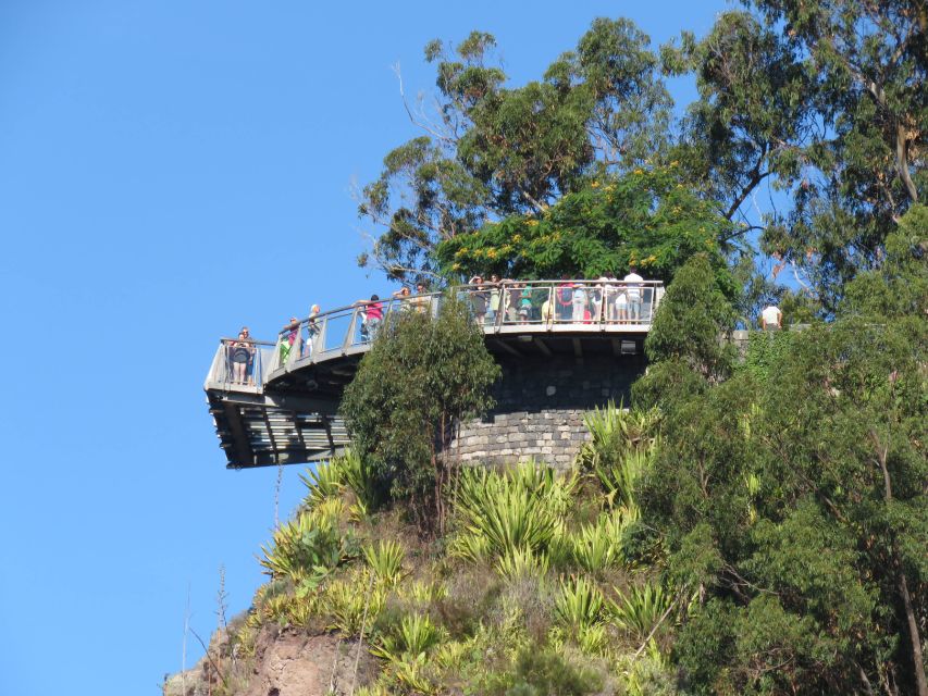 Madeira : Cabo Girao and Camara de Lobo 4WD half-day Tour - Who Will Enjoy This Half-Day Outing?