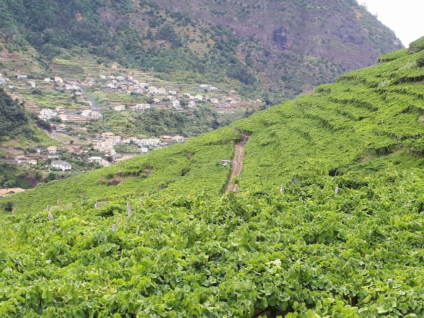 Madeira: Cabo Girão, Wine Tasting, & Serra d'Água Jeep Tour - The off-road section is the real adventure