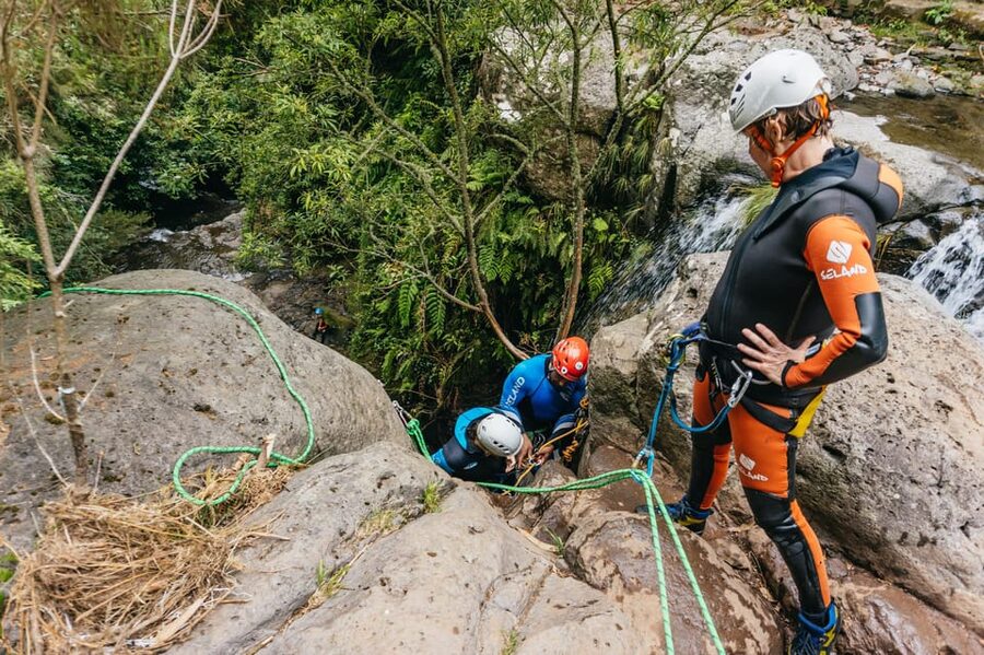 Madeira Canyoning Beginners – Easy & Fun Waterfall Adventure - Tree ferns, endemic plants, and old terraces