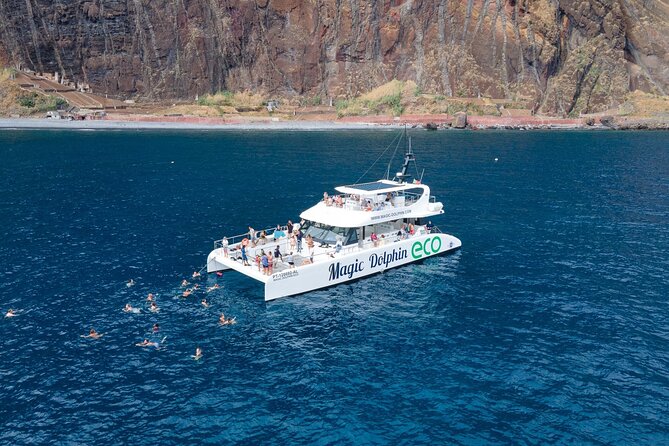 Madeira Dolphin and Whale Watching on a Ecological Catamaran - Key points to know before sailing