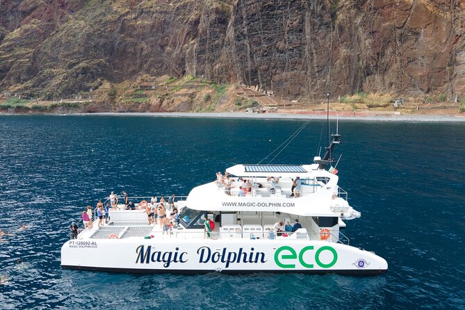 Madeira Dolphin and Whale Watching on a Ecological Catamaran - Setting out from Funchal’s Praca do Povo