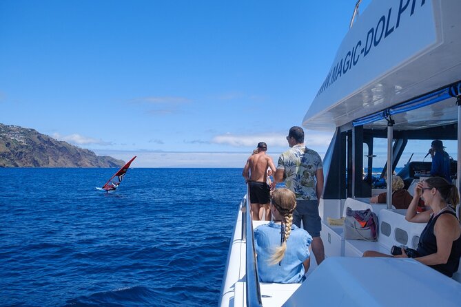 Madeira Dolphin and Whale Watching on a Ecological Catamaran - What a sighting feels like from the deck