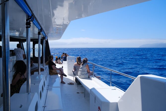 Madeira Dolphin and Whale Watching on a Ecological Catamaran - The coastal return past Cabo Girão