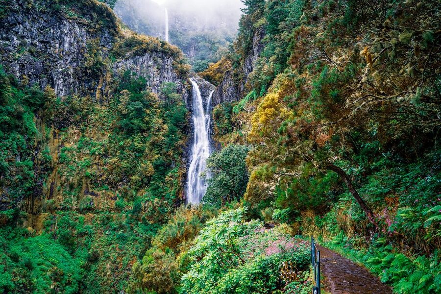 Madeira: Enjoy a Guided Levada Walk in the Rabaçal Valley - Why Madeira’s levadas make this walk special