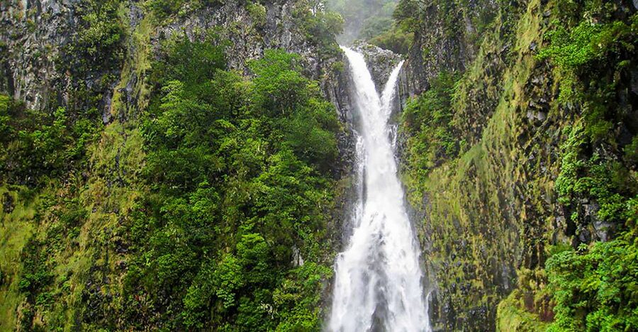 Madeira: Enjoy a Guided Levada Walk in the Rabaçal Valley - From Paul da Serra to the Risco waterfall