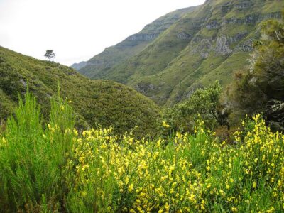 Enjoy a Guided Levada Walk in the Rabaçal Valley