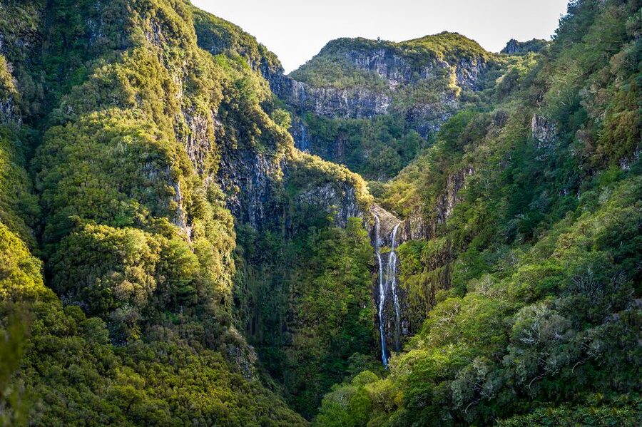 Madeira: Enjoy a Guided Levada Walk in the Rabaçal Valley - The 800-meter tunnel and the return route