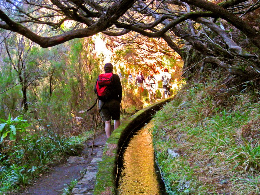 Madeira: Enjoy a Guided Levada Walk in the Rabaçal Valley - The guide and language choices