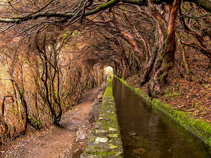 Madeira: Enjoy a Guided Levada Walk in the Rabaçal Valley - Is $50 good value?