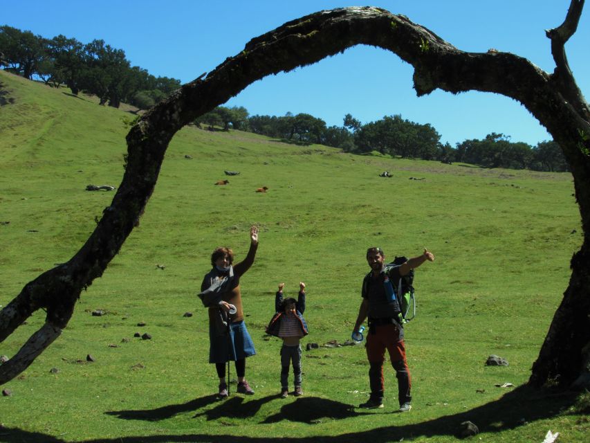 Madeira: Fanal Forest Guided Hiking Tour - Why Fanal Forest is worth your time