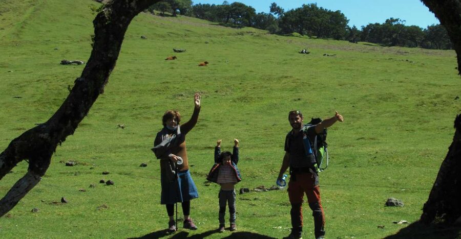 Madeira: Fanal Forest Guided Hiking Tour - The 75-minute ride into Madeira’s mountains