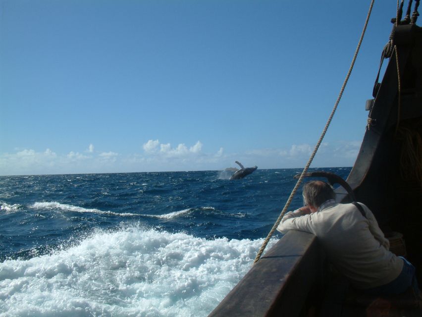 Madeira: Flag Ship Tour aboard Santa Maria de Colombo - Comfort, access, and weather
