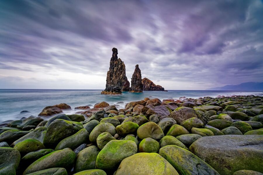 Madeira: Full-Day Jeep Tour, Natural Pools, Seixal & Fanal - Fanal Forest is the atmospheric finish