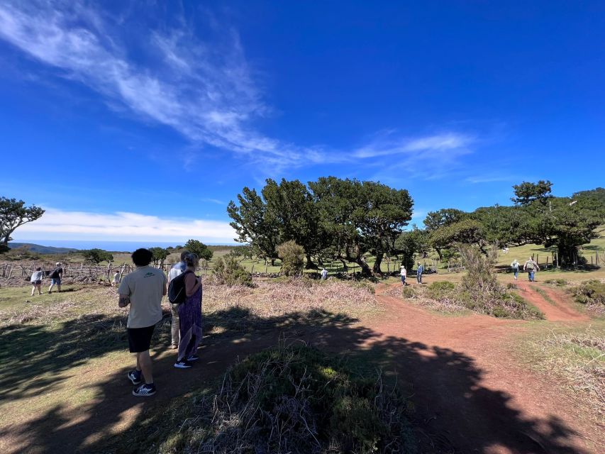 Madeira: Full-Day Jeep Tour with Guide and Pickup - Seixal: a black-sand beach with a small-village feel