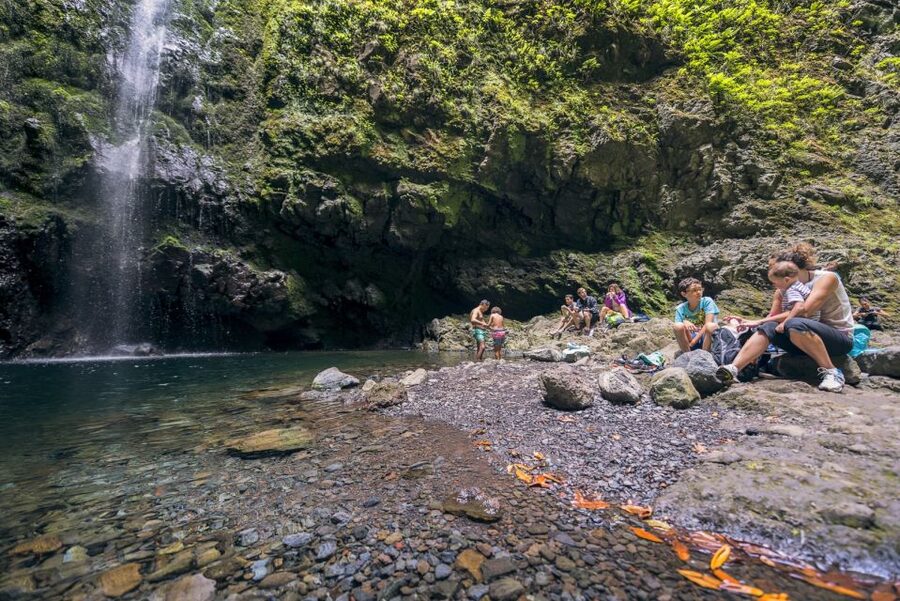 Madeira: Full-Day Laurel Forest Guided Walking Tour - Queimadas Park and the thatched house
