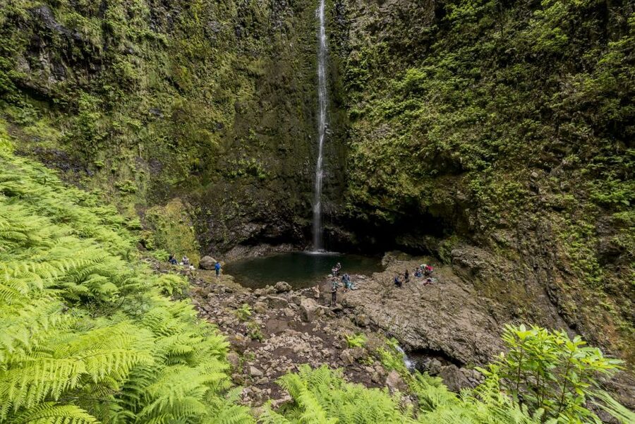 Madeira: Full-Day Laurel Forest Guided Walking Tour - Reaching Caldeirão Verde waterfall