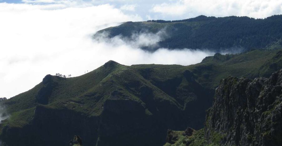 Madeira: Full-Day Pico Ruivo / Achada do Teixeira Walk - The old heather forest
