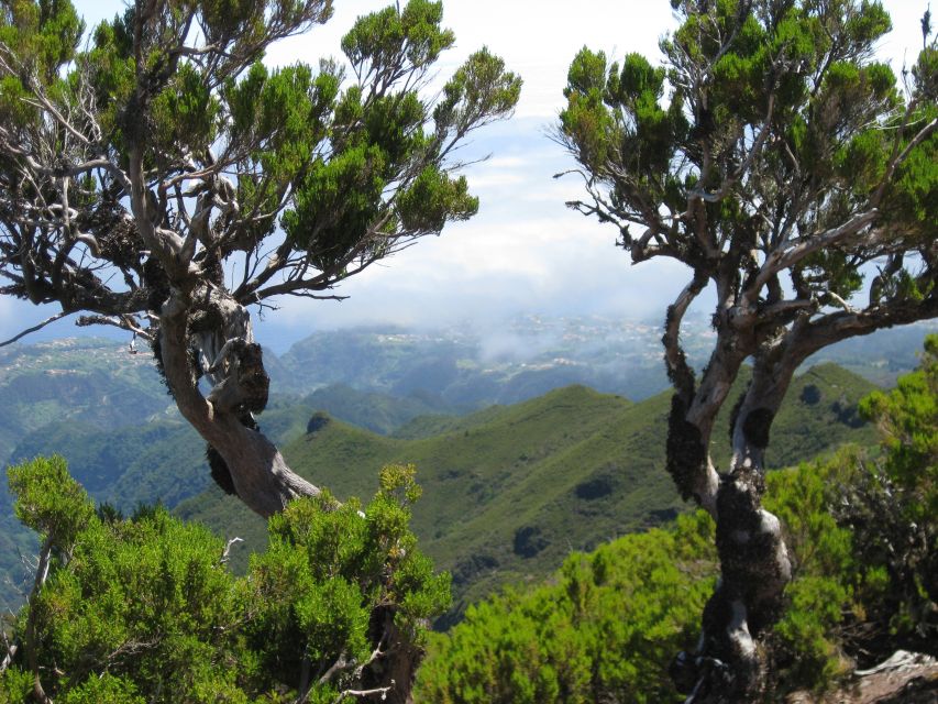 Madeira: Full-Day Pico Ruivo / Achada do Teixeira Walk - Food, clothing, and small comforts
