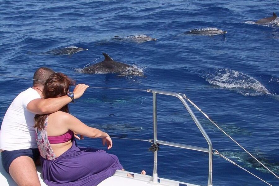 Madeira: Funchal Sunset Tour by Catamaran - Key points to know before you sail