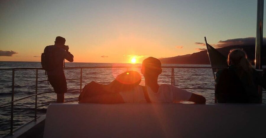 Madeira: Funchal Sunset Tour by Catamaran - Searching the south coast for dolphins and whales
