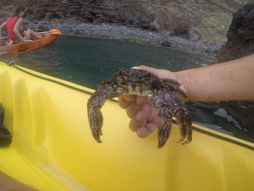 Madeira: Garajau Nature Reserve Kayak and Snorkel Tour - What to bring for a better three hours